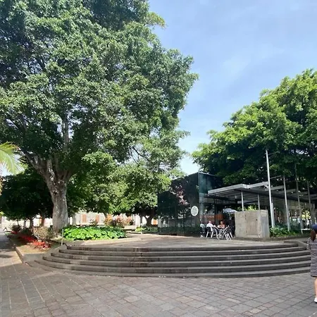 Urban, Quiet Flat For Digital & Remote Nomads 公寓