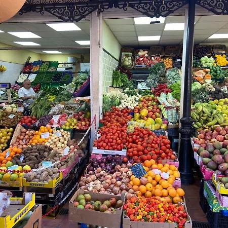 アパート Urban, Quiet Flat For Digital & Remote Nomads サンタクルスデテネリフェ