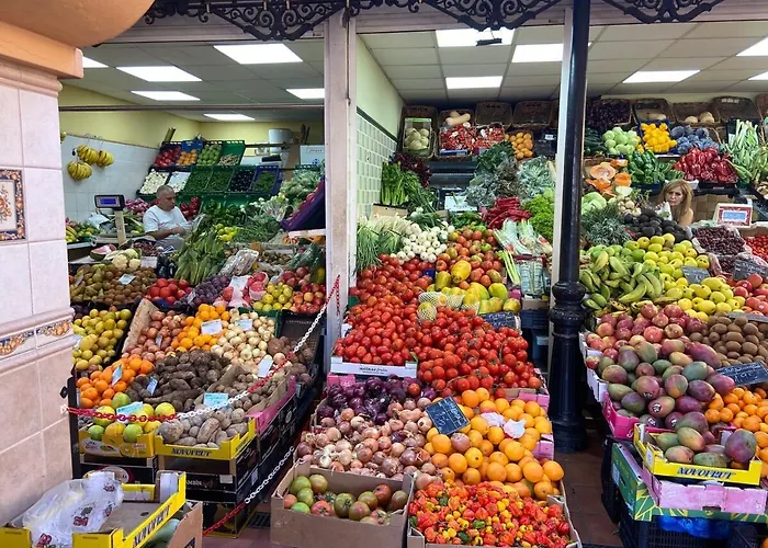 公寓 Urban, Quiet Flat For Digital & Remote Nomads 圣克鲁斯-德特内里费