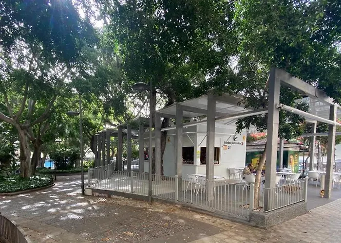 Urban, Quiet Flat For Digital & Remote Nomads 公寓 圣克鲁斯-德特内里费